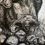 Truffle Pig