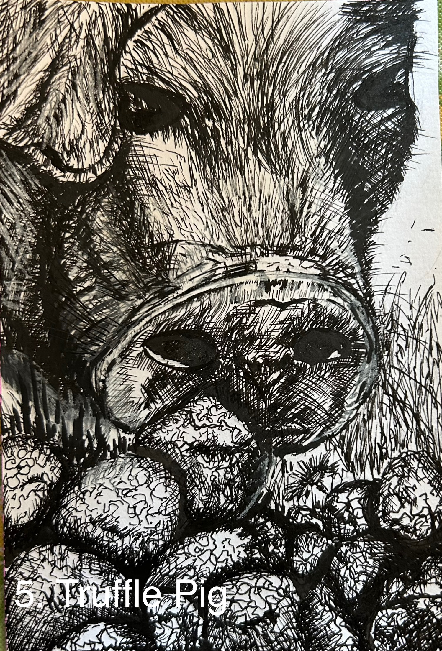 Truffle Pig